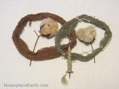 Grow and Spin Cotton Image